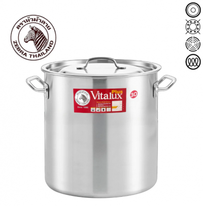 ZEBRA VITALUX STOCK POT 21LTR (30x30cm)